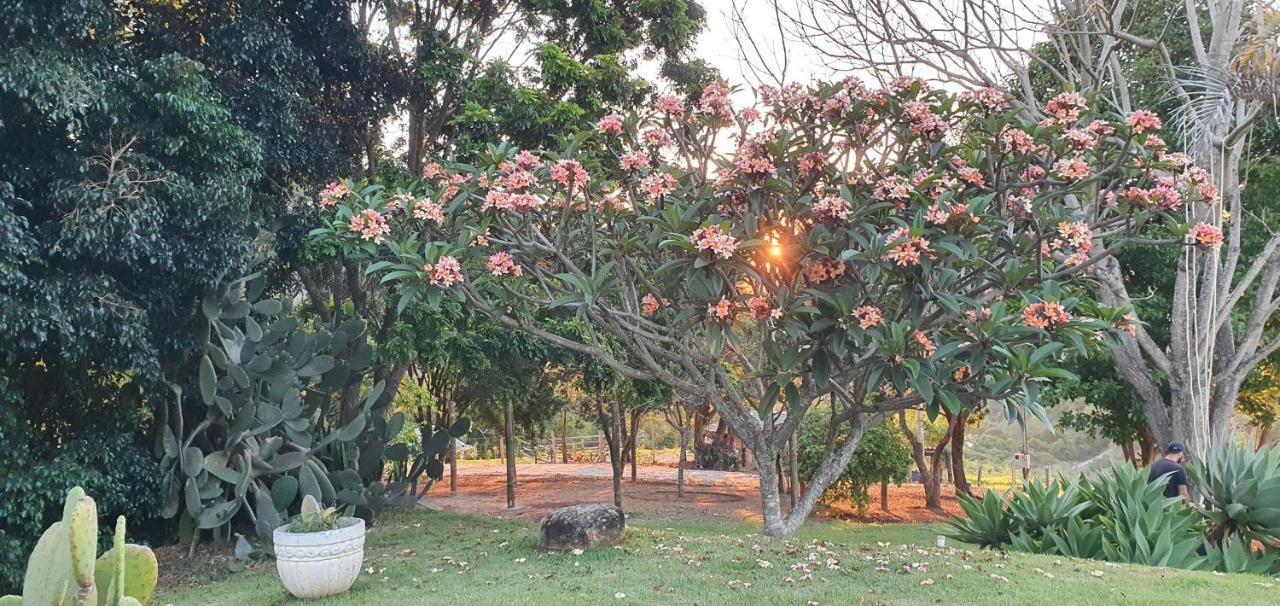 Ellementares Guest House Socorro  Exterior photo